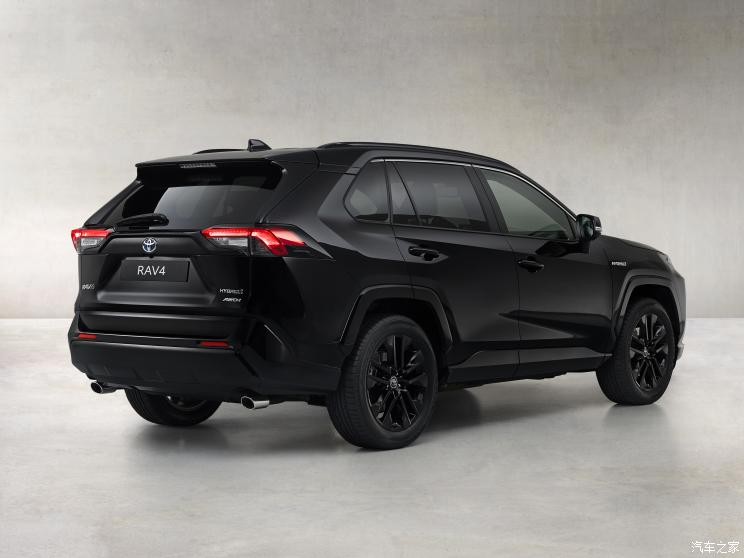 丰田(进口) 丰田RAV4(进口) 2020款 Hybrid Black Edition
